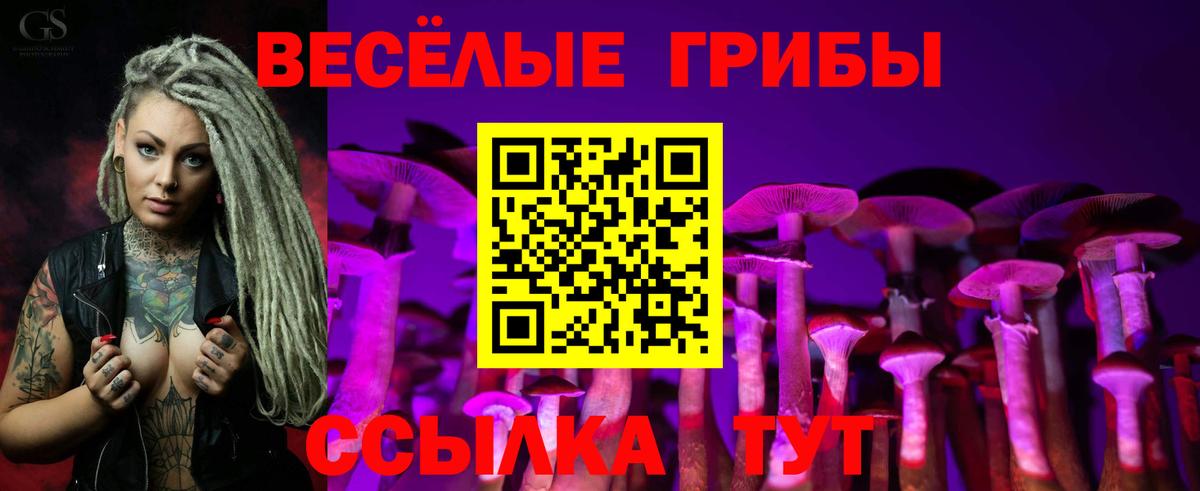 Краснодар  Псилоцибиновые грибы GOLDEN TEACHER  Псилоцибиновые грибы прущие грибы  купить наркотики цена  Вход с VPN 